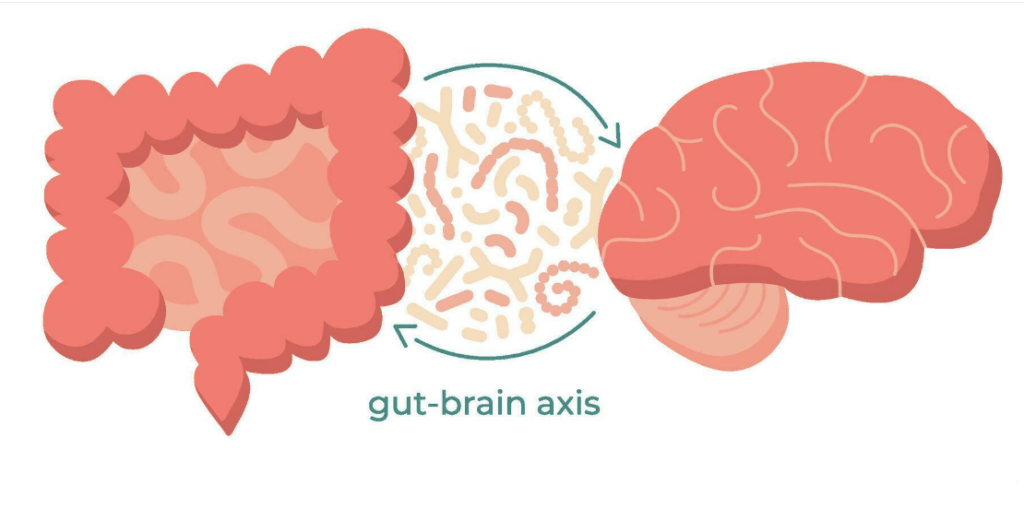 gut-brain connection linked by microbiome