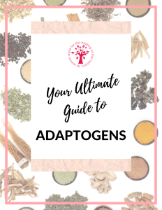 Guide to Adaptogens